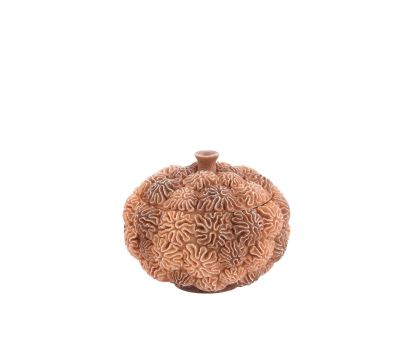 Deco box+deksel Ø20x15,5 cm CORAL perzik-licht bruin