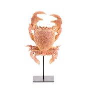 Ornament op voet 23x12,5x42,5 cm CRAB licht koraal