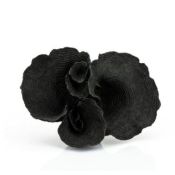 Ornament Agari - Black